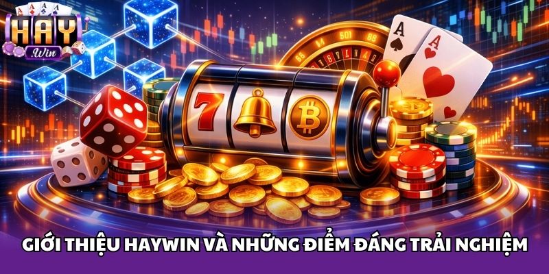 Giới thiệu Haywin và những điểm đáng trải nghiệm