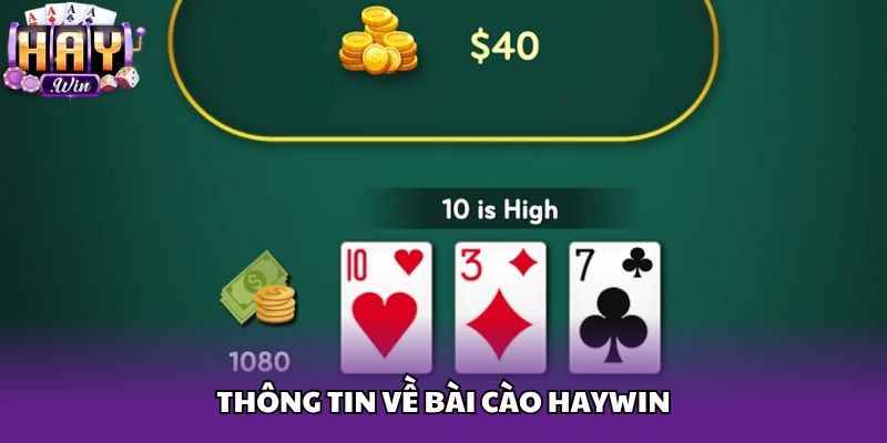 Thông tin về bài cào Haywin
